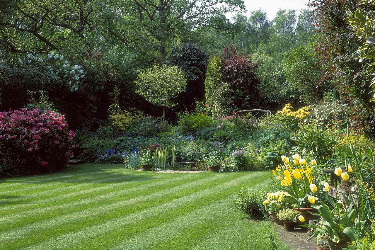 Lawn Care: Find Your Perfect Match!
