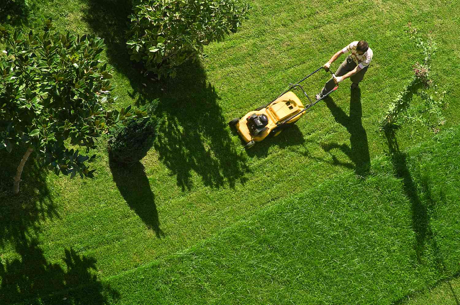 A Lawn to Love: Local Services to Make You Smile!